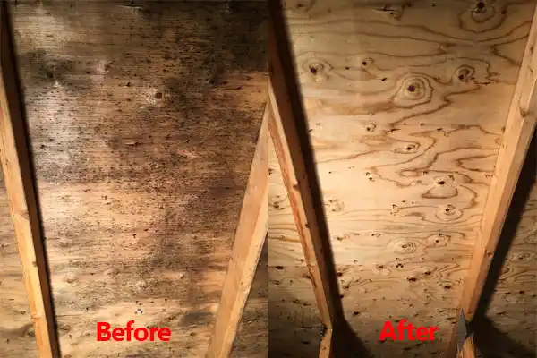 water damage restoration service Bexley